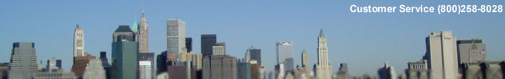 merchant account systems and services to accept credit cards and checks ny, nj, ct, hudson valley, orange