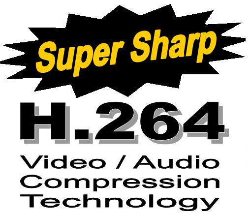 H.264 DVR Security Camera Surveillance Systems